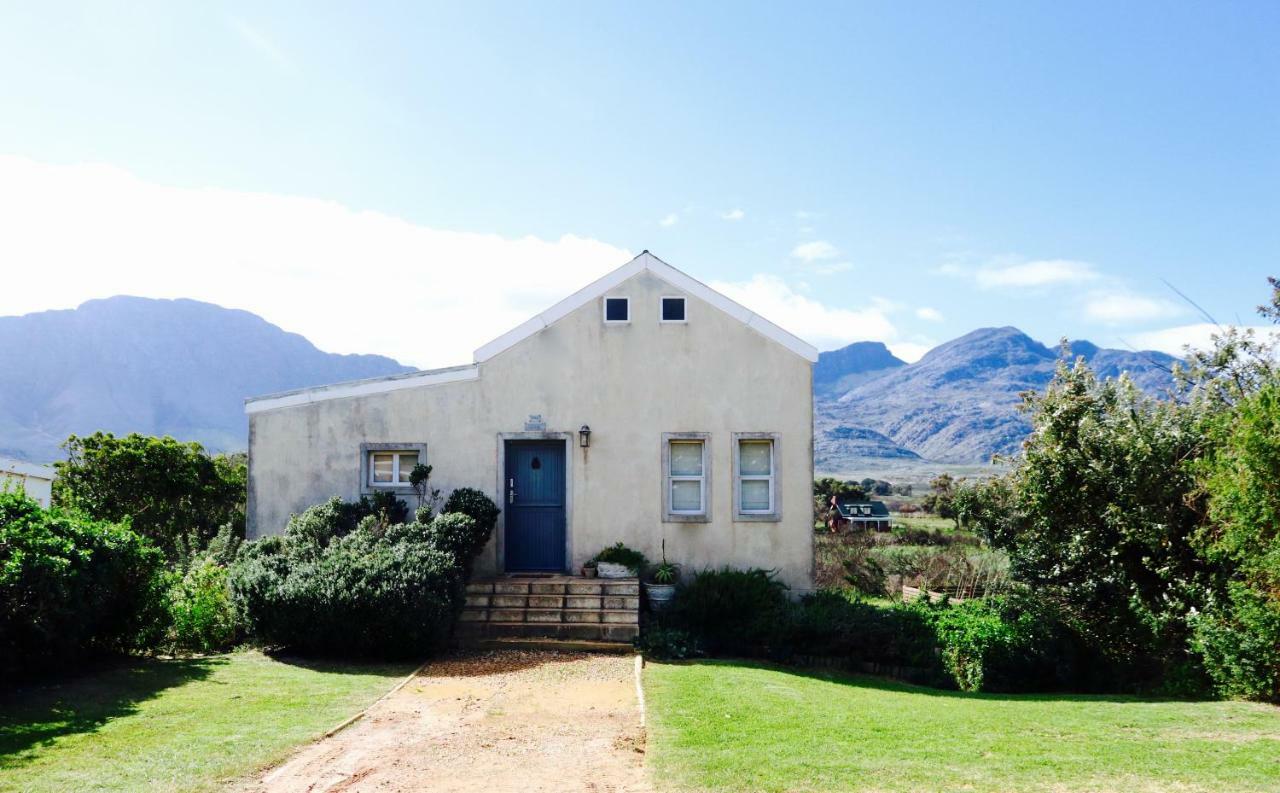 The Crowded House Villa Pringle Bay Exterior foto